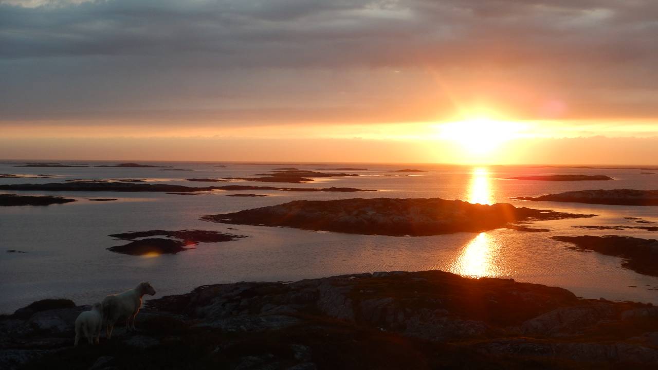 Kajakkpadling fra Smøla