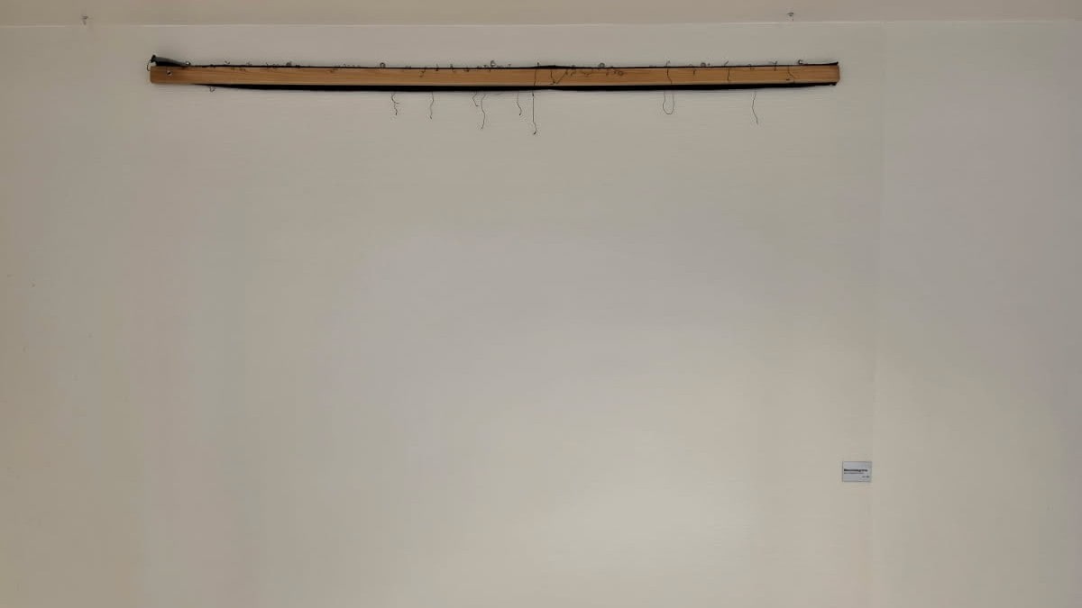 Kunsttyveri på UNN: – Forferdelig