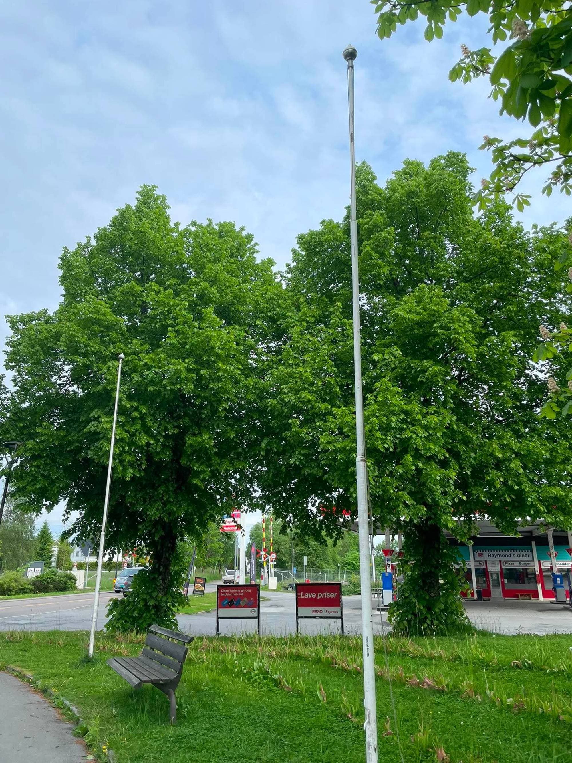En flaggstang foran to trær og en plen. Ingen flagg henger på stanga