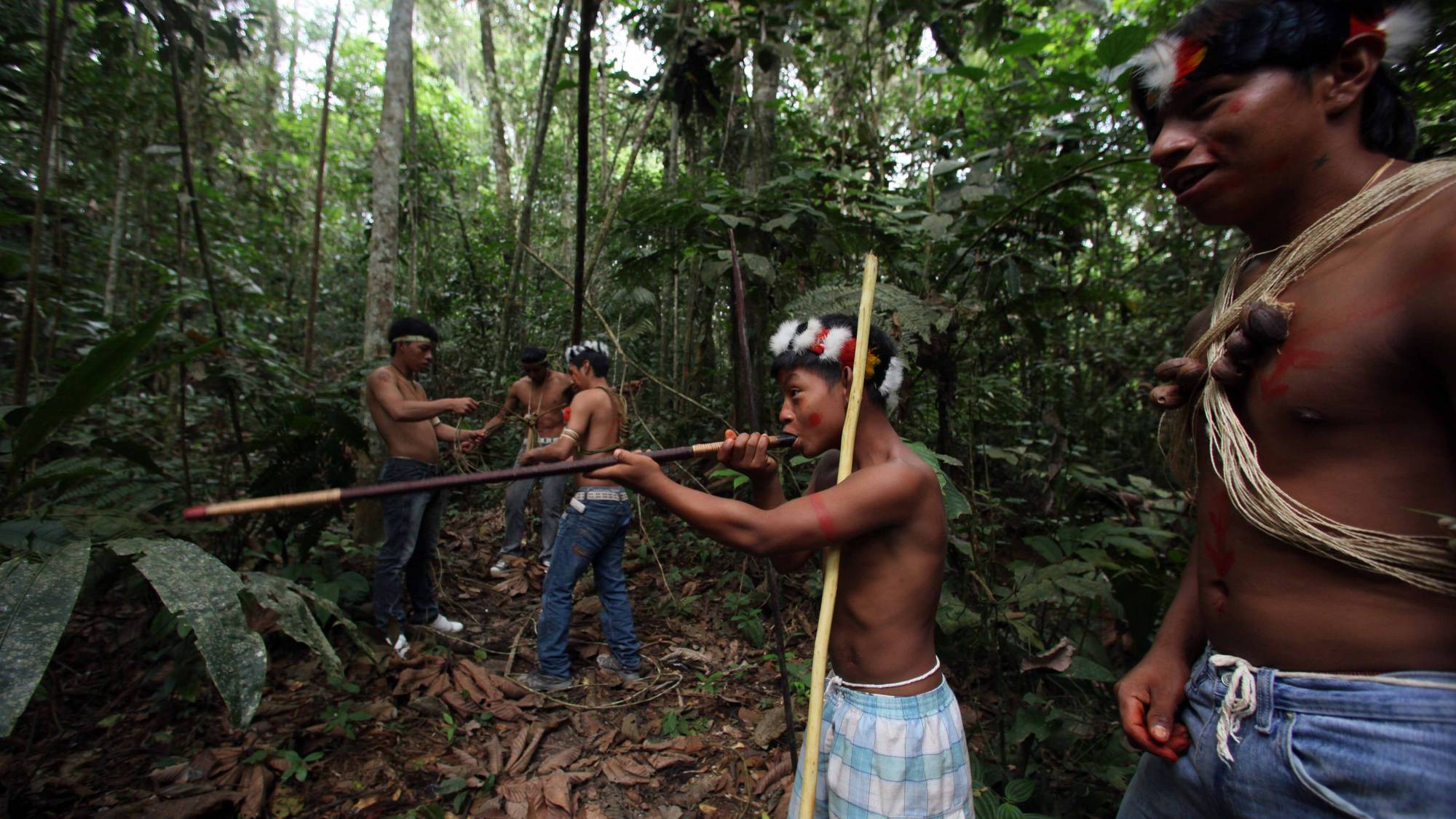 Дики люди видео. Племя ваорани Амазонка. Дикие индейцы Амазонии.