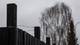 写真:Julia Thommessen / Nrk Comanches Clubhouse
