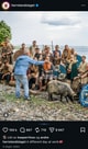 Herrelandslaget Skjermdump fra herrelandslaget sin instagram