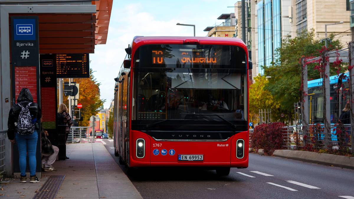 Oslo MDG vil ha nye akuttiltak mot energikrisen