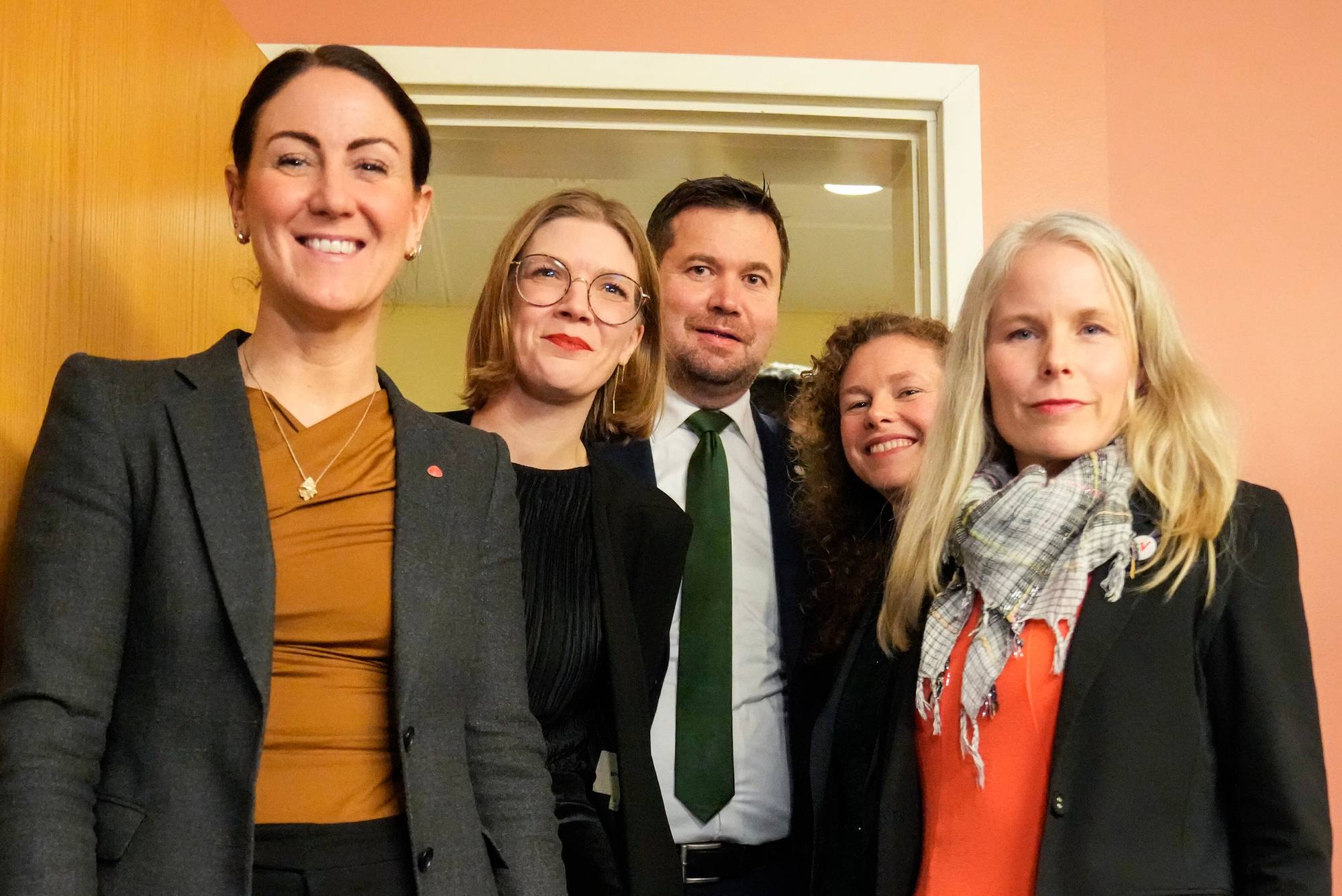 De rødgrønne partiene.