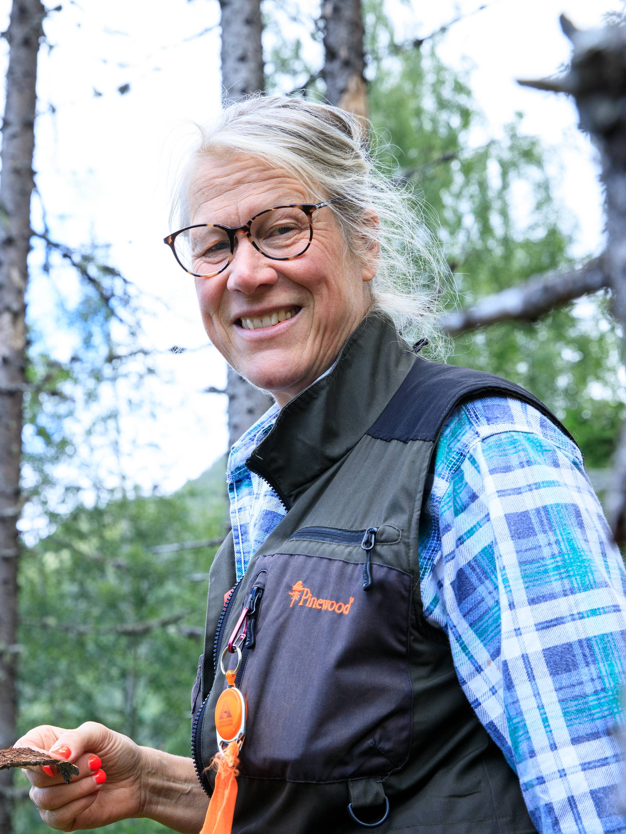 Ulike bilder av Brandi og Sol-Britt Molin som trener på å finne barkbiller i skogen i Nesbyen kommune. 