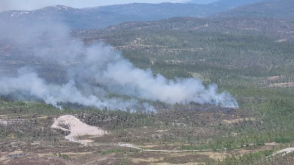 Forest fire in Steinkjer – NRK Trøndelag – Local news, TV and radio