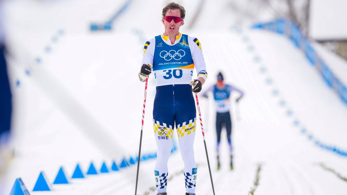 Calle Halfvarsson kan bli «Sveriges dummeste»