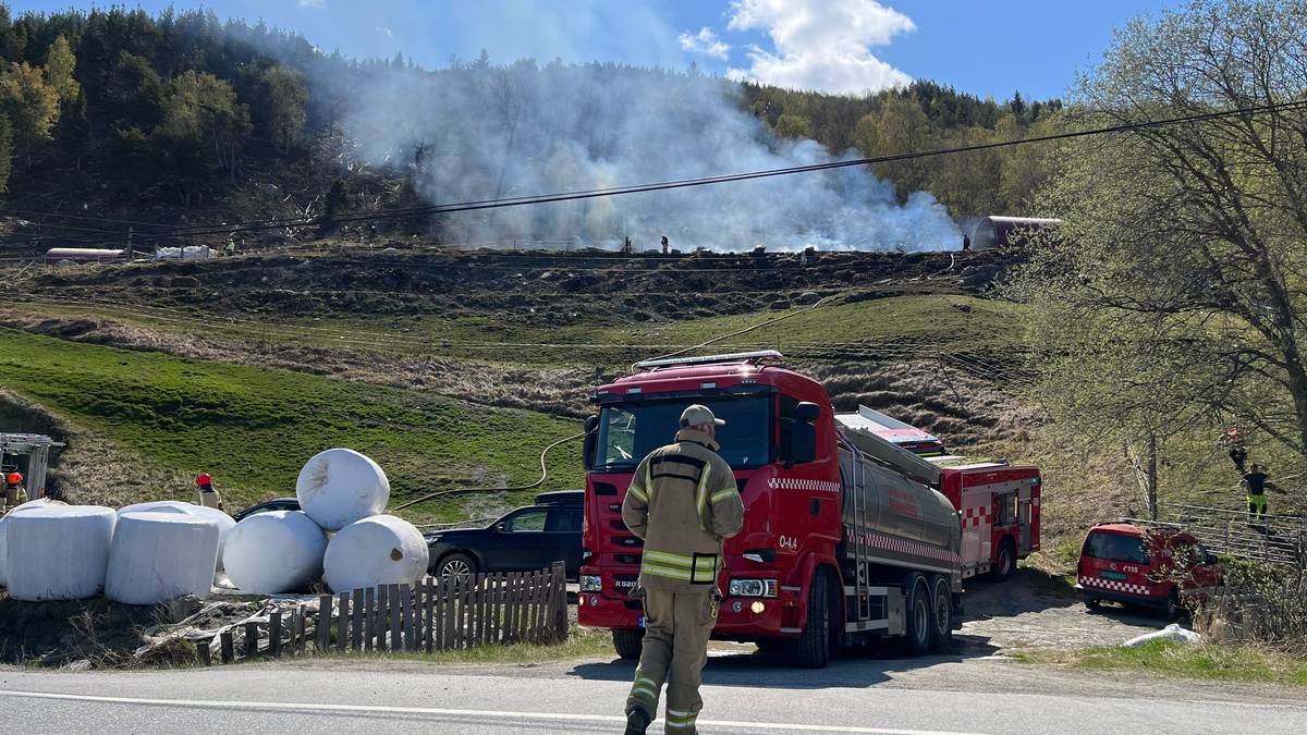 Barn fire in Wagga with 200 sheep – NRK Innlandet – Local news, TV and radio
