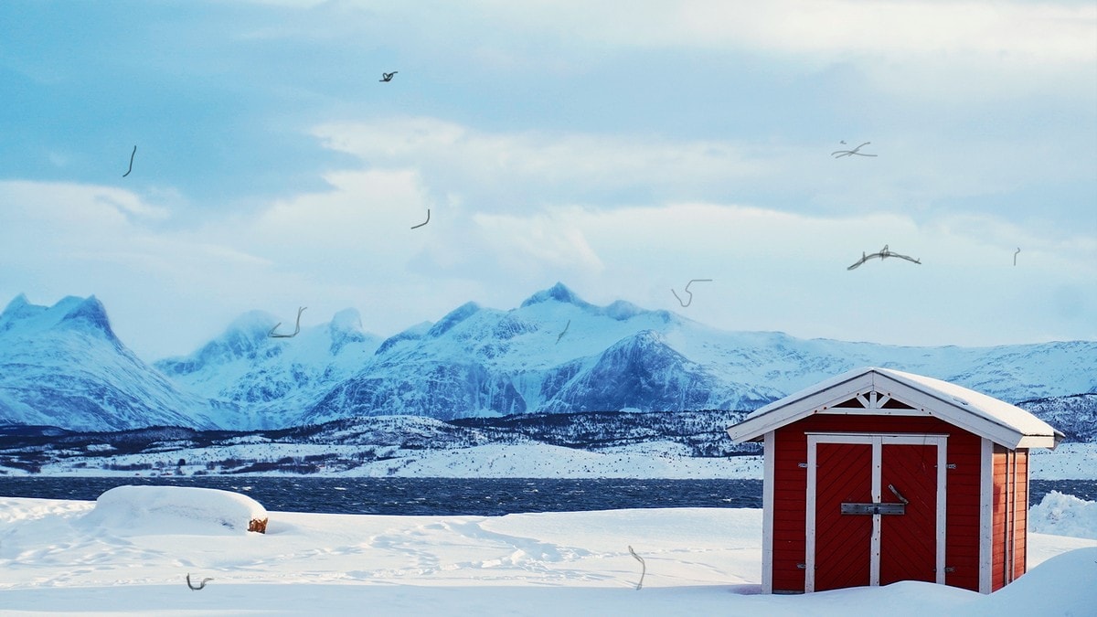 John hadde vanlege «floaters» heile livet – plutseleg forsvann synet