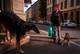 Foto: Christian Breidlid / NRK Utenfor Lisaklinikken.