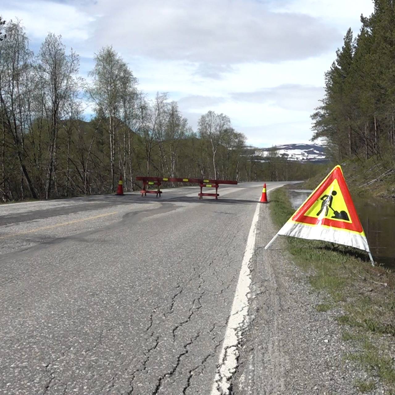 Flom Skoganvarre