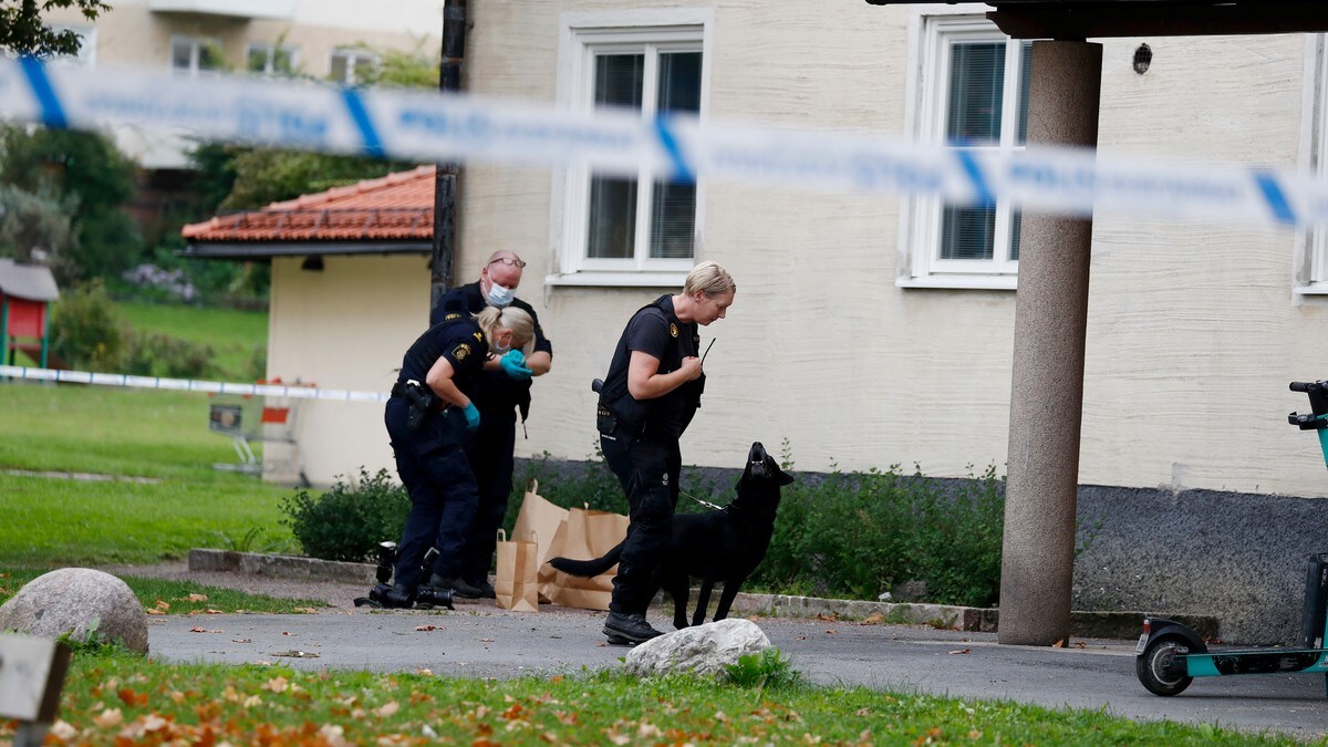 Volden i Uppsala skremmer innbyggerne: – Vi er mest bekymret for barna