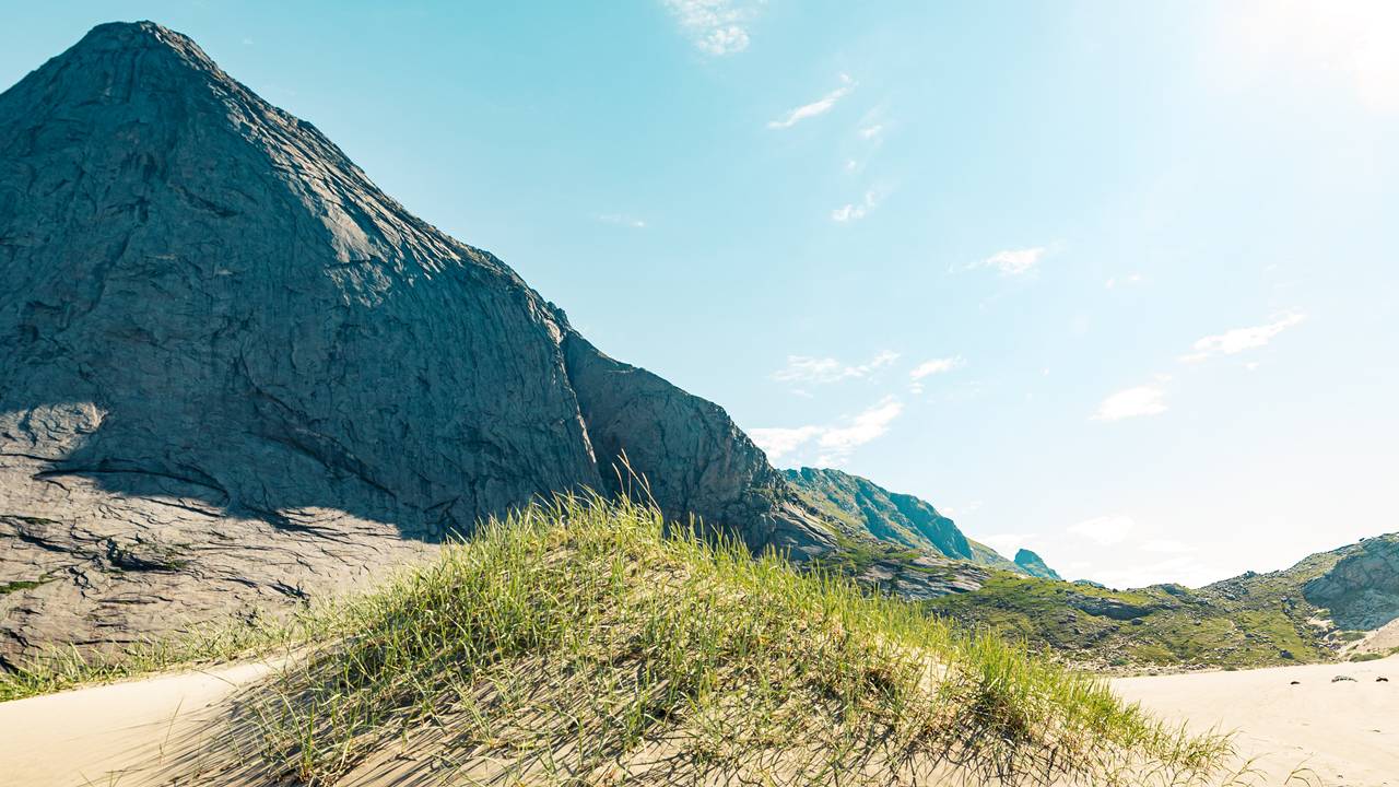 Strandrug på Bunessanden