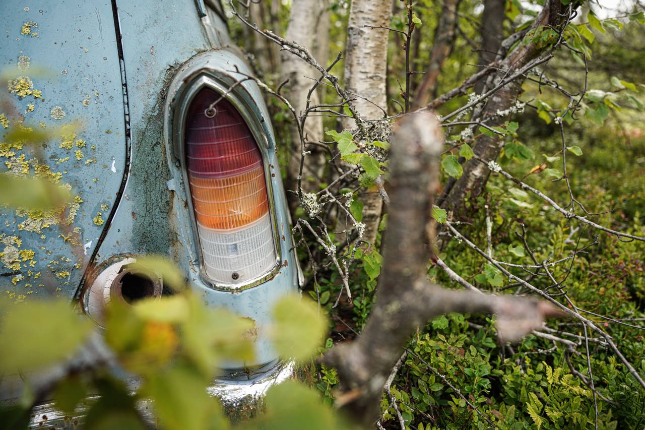 Opel-vrak i naturen