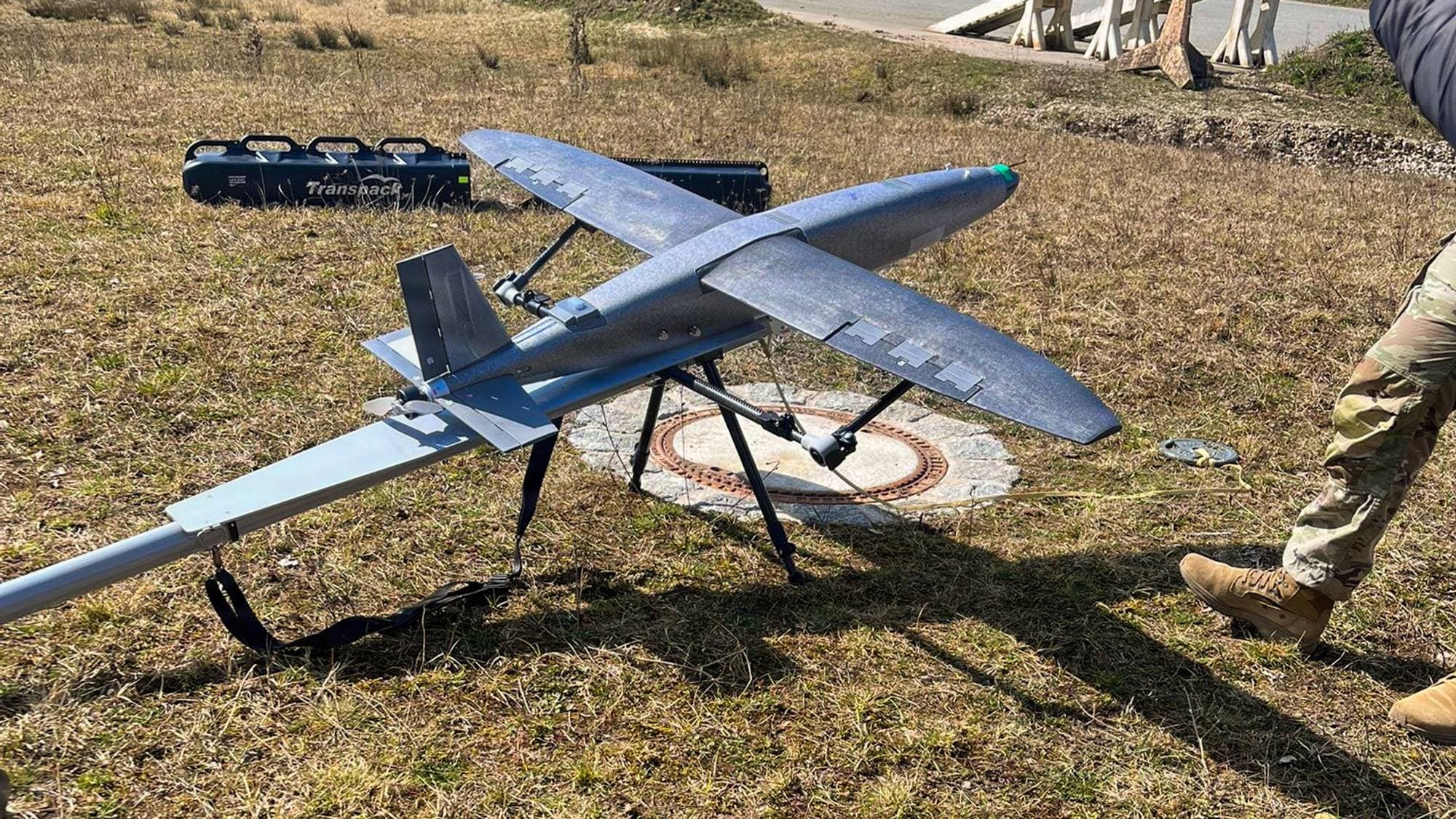 Hornet-drone