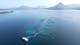 Photo: Gorm Kallestad / NTB a group of small white objects floating in the water (Image description created by an AI service)
