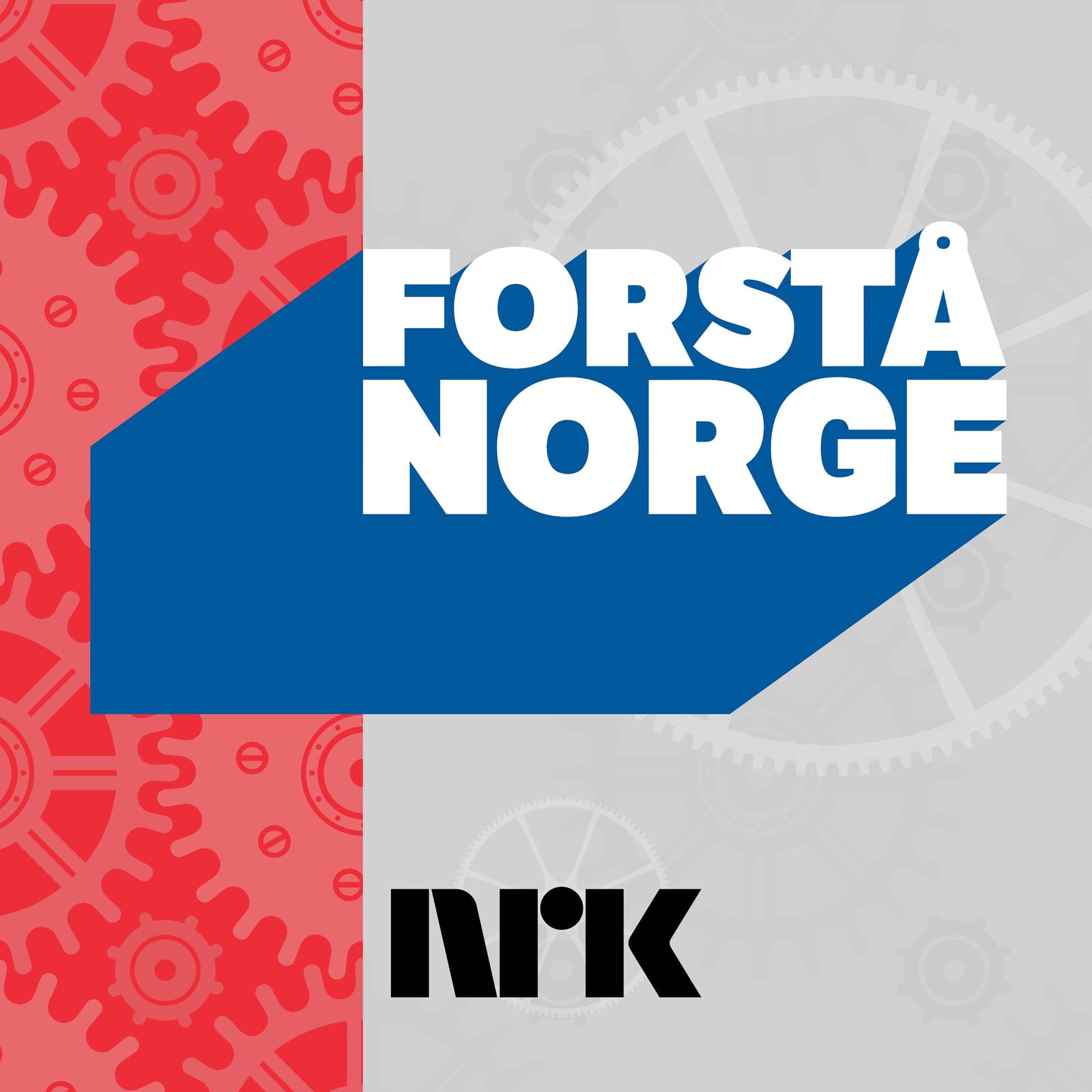 Forstå Norge