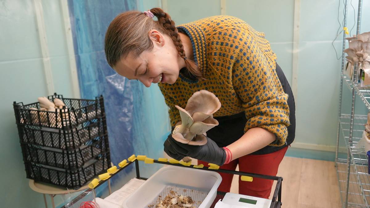 Annicken solgte bilen for å starte soppfarm – vil produsere 800 kilo sopp i året