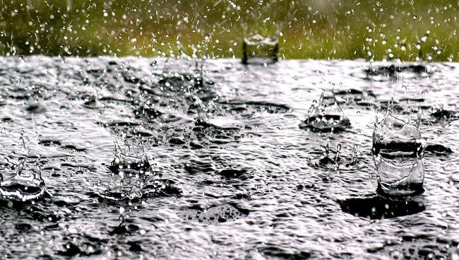 Regn