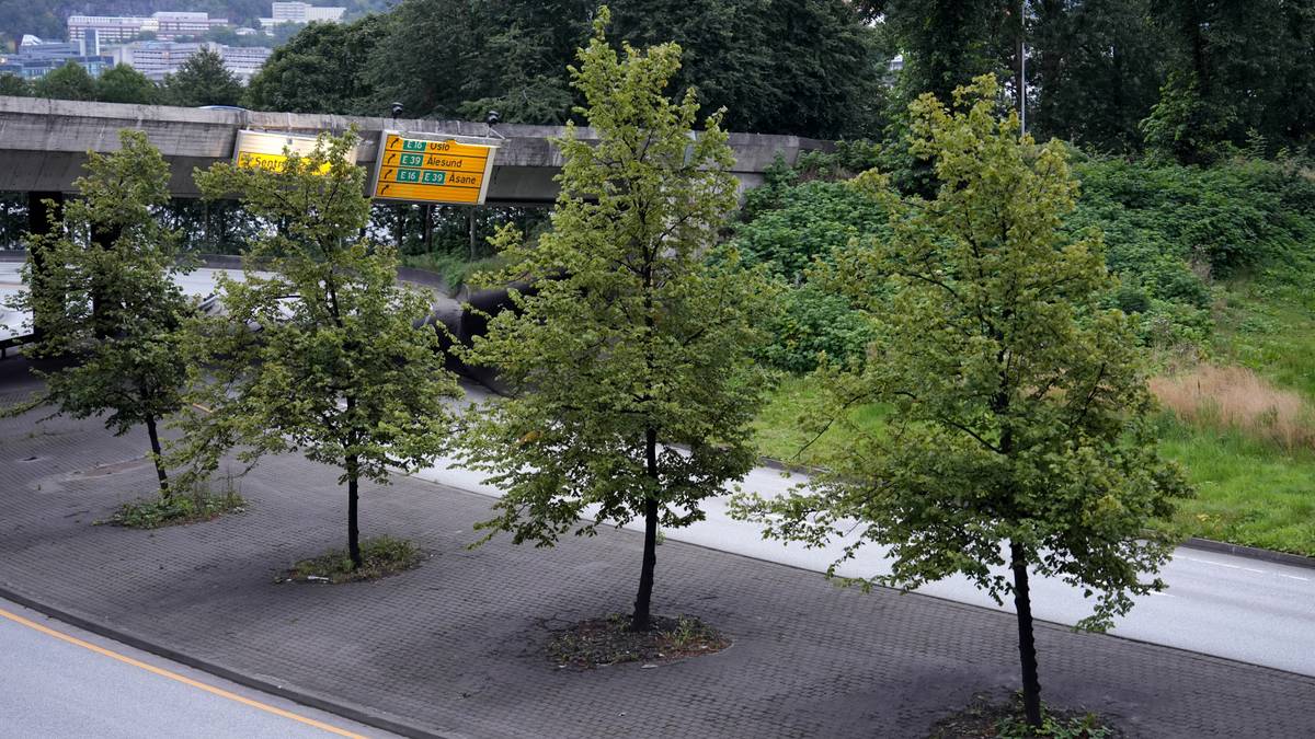 NHH om russebuss-ulykken: – Går bra etter forholdene
