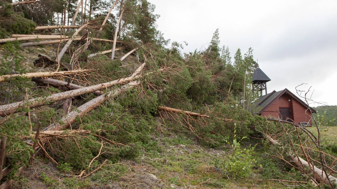 Storm i Nord-Østerdal