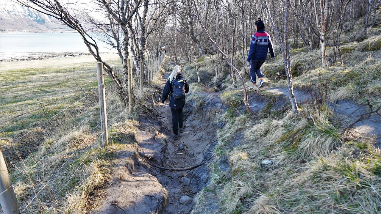 Slitasje på sti til Hovdsundet/Auvika.