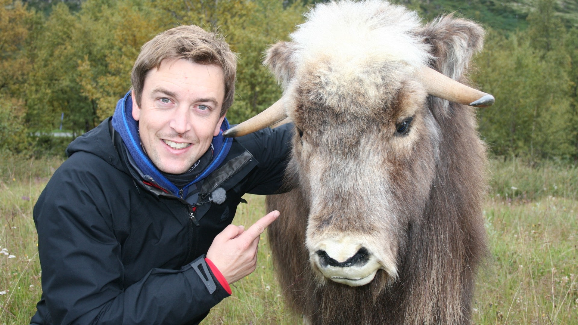 Newton arkiv - NRK TV