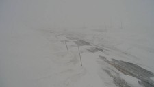 DYRANUT: Hardangervidda har kolonnekøyring torsdag ettermiddag. Dette ved Dyranut 1235 moh. 