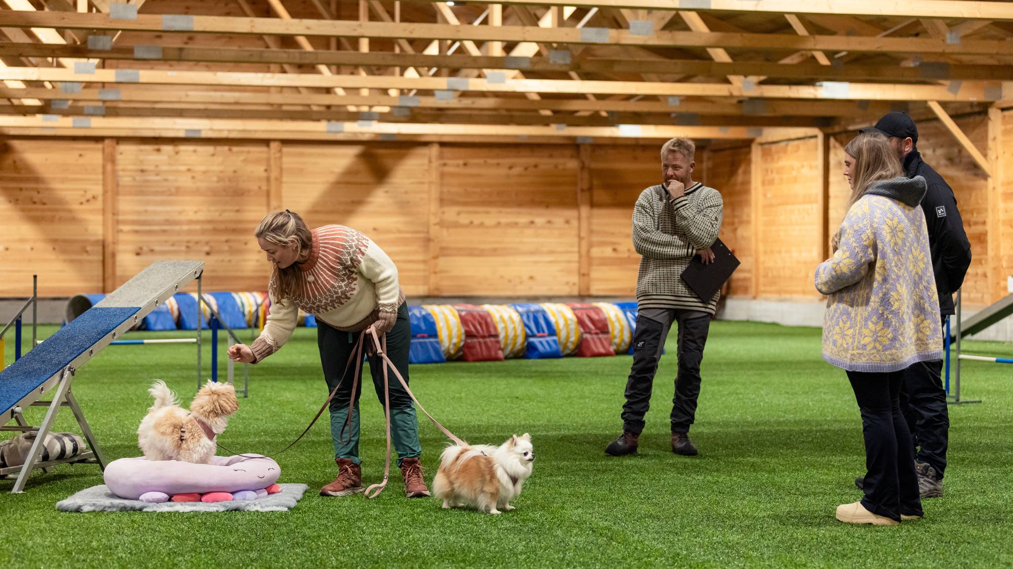 Hundetrener, Maren, jobber med to små brune og hvite hunder inne i en treningshall. Den ene hunden står i en rosa hundeseng. Maren holder begge i bånd. Ved siden av står eierne og en annen hundetrener. Bak er det diverste utstyr for hundetrening. Det er grønt kunstgress på gulvet. 