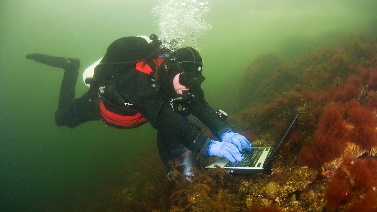 En dykker skriver på tastaturet til en laptop på bunnen av Oslofjorden