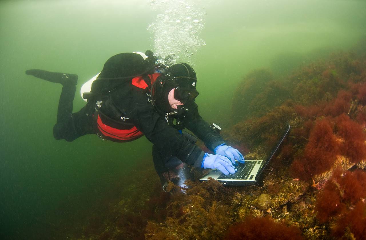 En dykker skriver på tastaturet til en laptop på bunnen av Oslofjorden