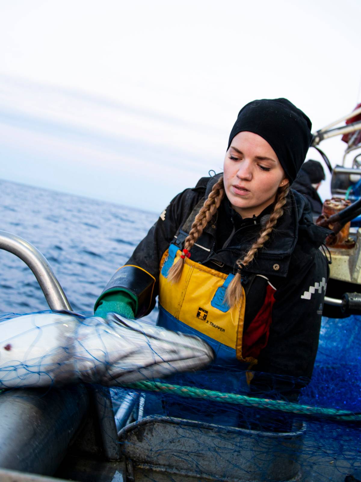 Full krangel om «kokfisken» – fiskerne mener de blir mistenkeliggjort