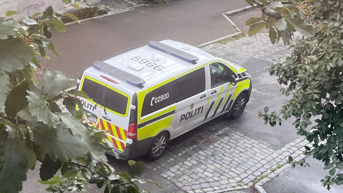 Lette etter gjerningsmann etter slåsskamp i Trondheim