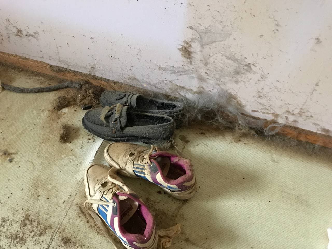 Skoene ble værende under senga, i 17 år. Eieren satt i rullestol, med begge beina amputert.
