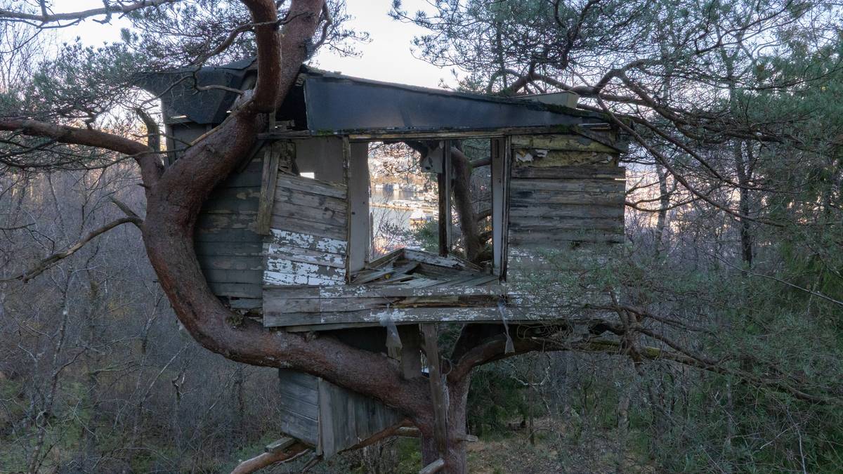 Etterlyser eigar av ulovleg trehytta: – Dei ligg nok i grava