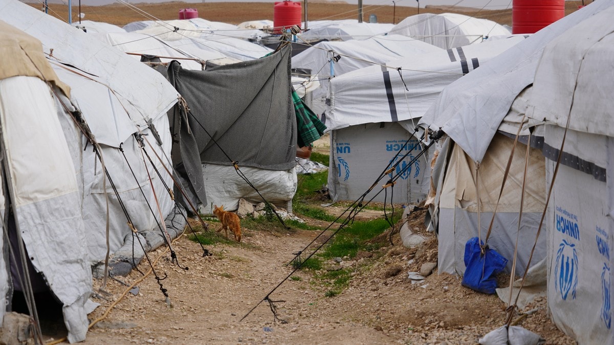 Leirsjef frykter tap av kontroll i IS-fangeleir: – De feirer med kake