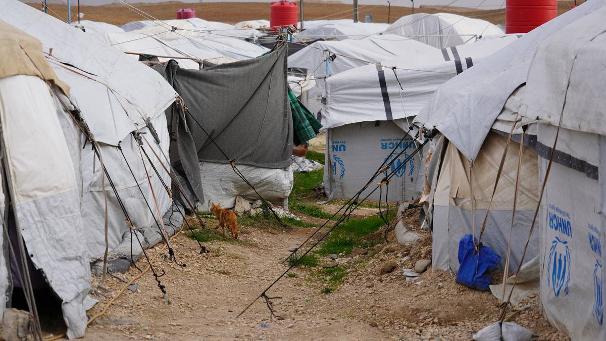 Leirsjef frykter tap av kontroll i IS-fangeleir: – De feirer med kake