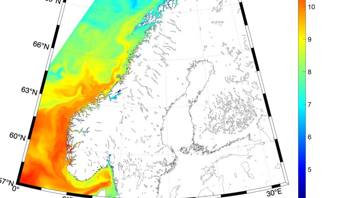 Rekord­varm sjø i 2025: – Me kjem ganske sikkert til å mista artar