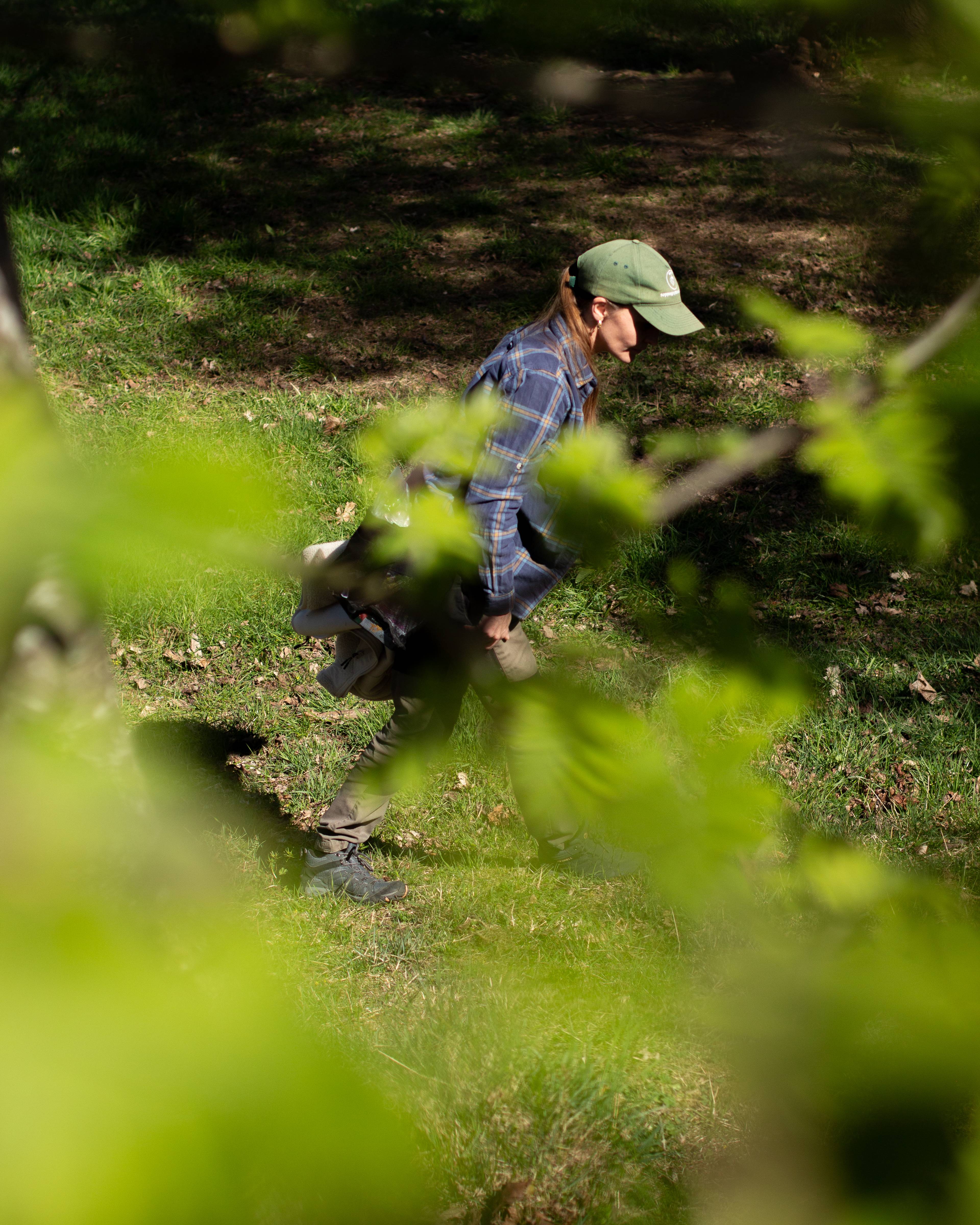 en kvinne ser etter planter i skogen
