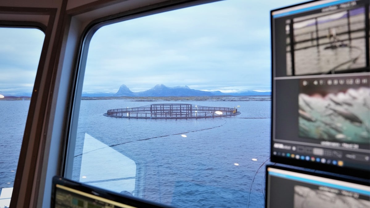 Ingen oppdrettsvekst i Nordland: Regjeringen gir gult lys