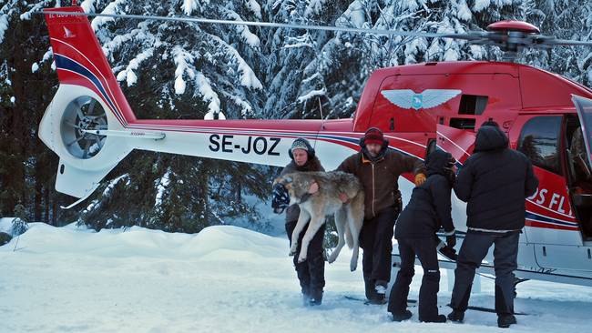 sgwGYSCCoOFJsOQc55KG9g4bpbWDvFDYPYnt8mqs