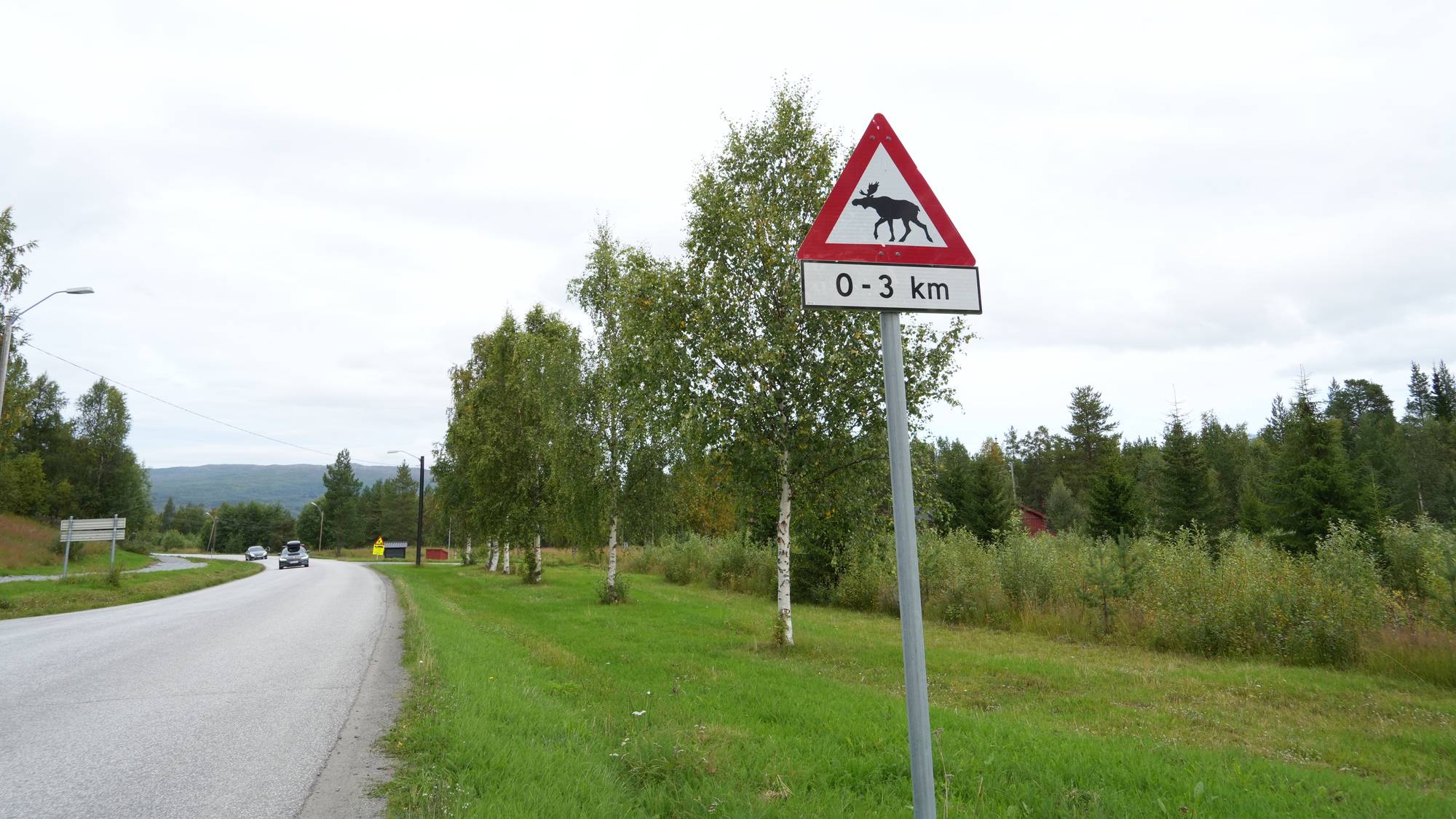 Elgskilt, ved siden av går en vei. Biler kjører forbi. Det er sommer, og overskya. 