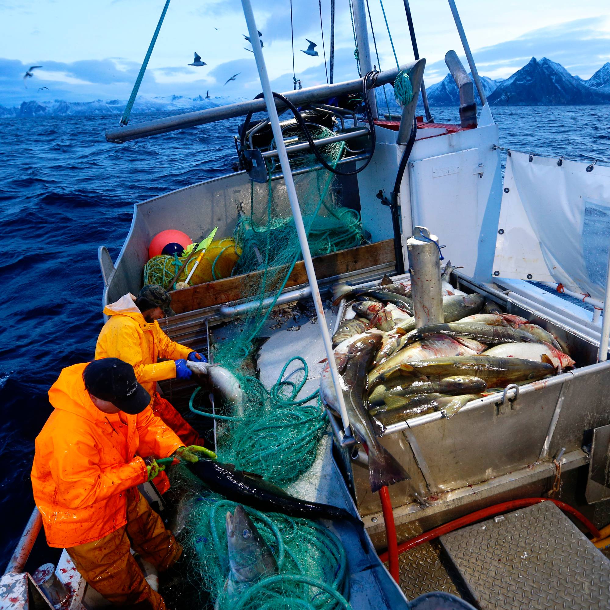 Fiskere i båt