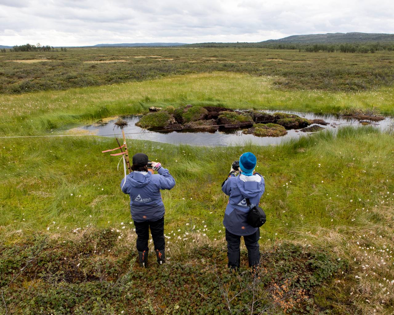 To forskere studerer en smeltende palsmyr.
