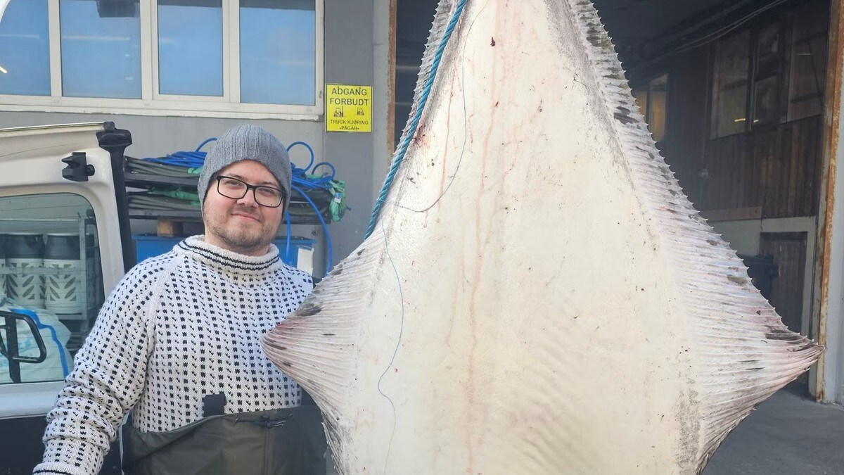 Brukte en halvtime på å få den 109 kg kveite i båten: – Stanga knakk