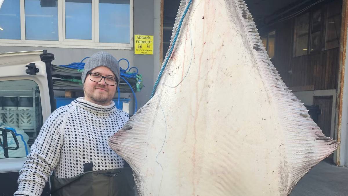 Fikk kveite på 109 kilo med knekt fiskestang