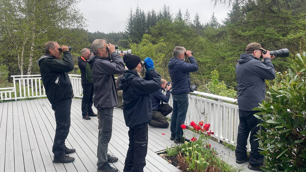 Desse oppdaga eit sjeldan vesen i skogen: – Får eit lite kick