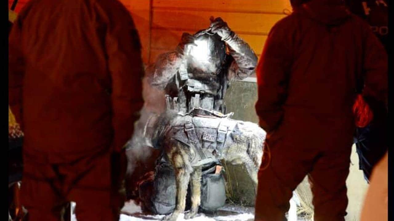 Patruljehunder fra Oslo politidistrikt har deltatt i søk i det krevende skredområdet.