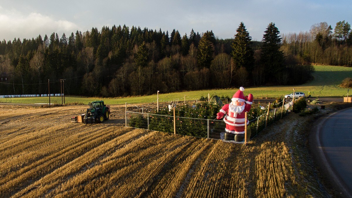 Betydelig færre år med hvit jul på Sør- og Østlandet