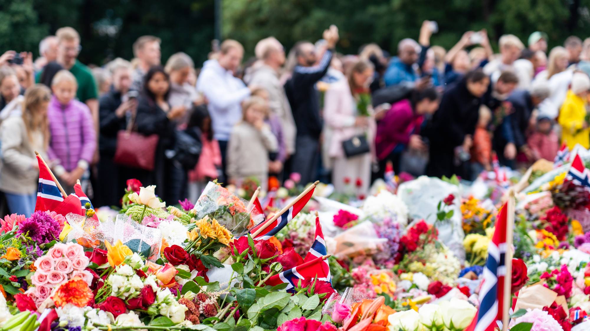 En folkemengde i en blomsterhage (Bildebeskrivelsen er laget av en KI-tjeneste)